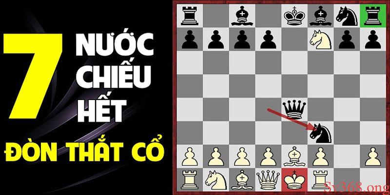 Bật Mí Các Nước Cờ Vua Hay Mà Bạn Chưa Biết? 1 Các nước cờ vua hay