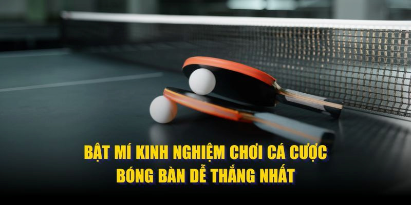 cá cược bóng bàn là gì Kinh nghiệm để cá cược bóng bàn là gì ?