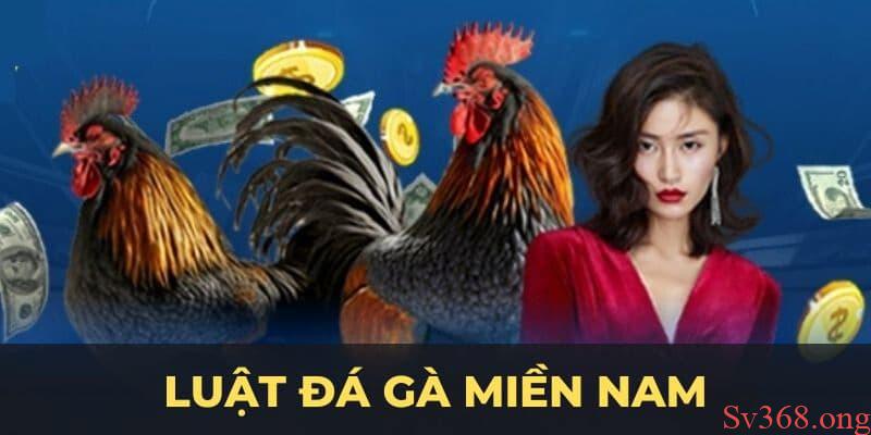 Luật đá gà miền Nam