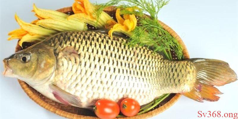 mơ thấy cá chép Mơ về con cá chép khổng lồ