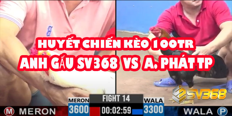 A Gấu SV368 vs A Phát T.Phố | Huyết Chiến Kèo 100 Triệu 10 A Gấu SV368 vs A Phát T.Phố | Huyết Chiến Kèo 100 Triệu