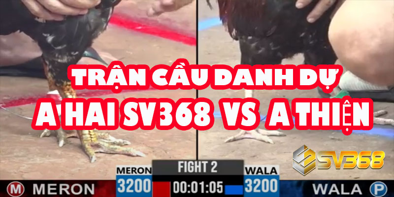 A Hai SV368 vs A Thiện | Trận Cầu Danh Dự Kèo 30 Triệu 9 A Hai SV368 vs A Thiện | Trận Cầu Danh Dự Kèo 30 Triệu