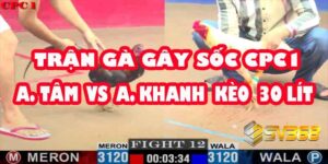 Kết Quả Gây Sốc: Gà A Tâm Thua Khó Tin, A Khanh Bất Ngờ Thắng Kèo 30 Triệu!